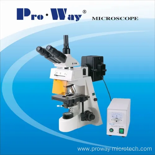 Professional Epi-Fluorescent Biological Microscope